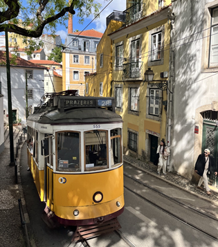 train