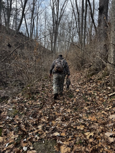 Man in camouflage walking through the woods.