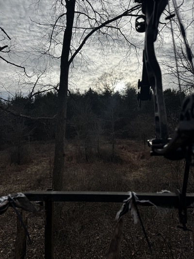 View of a meadow from a tree stand. 