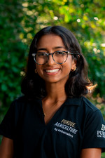 Saisha Dangle