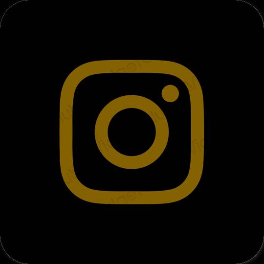 Instagram Logo