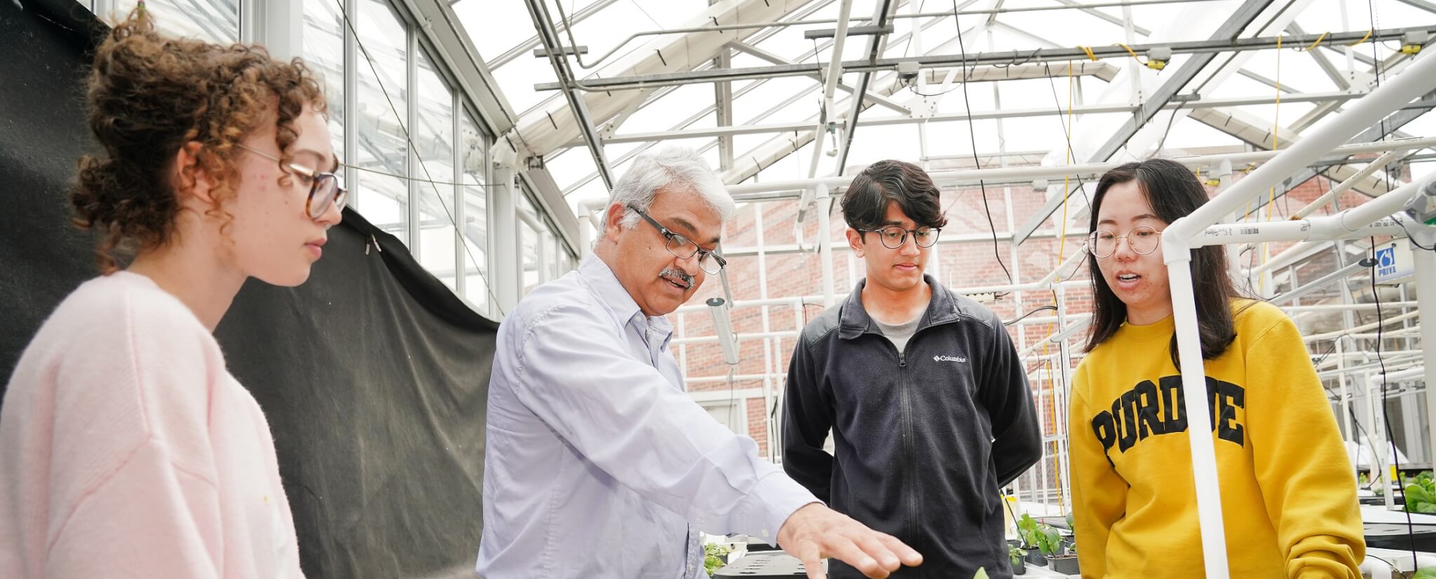 Dr. Krishna Nemali in lab