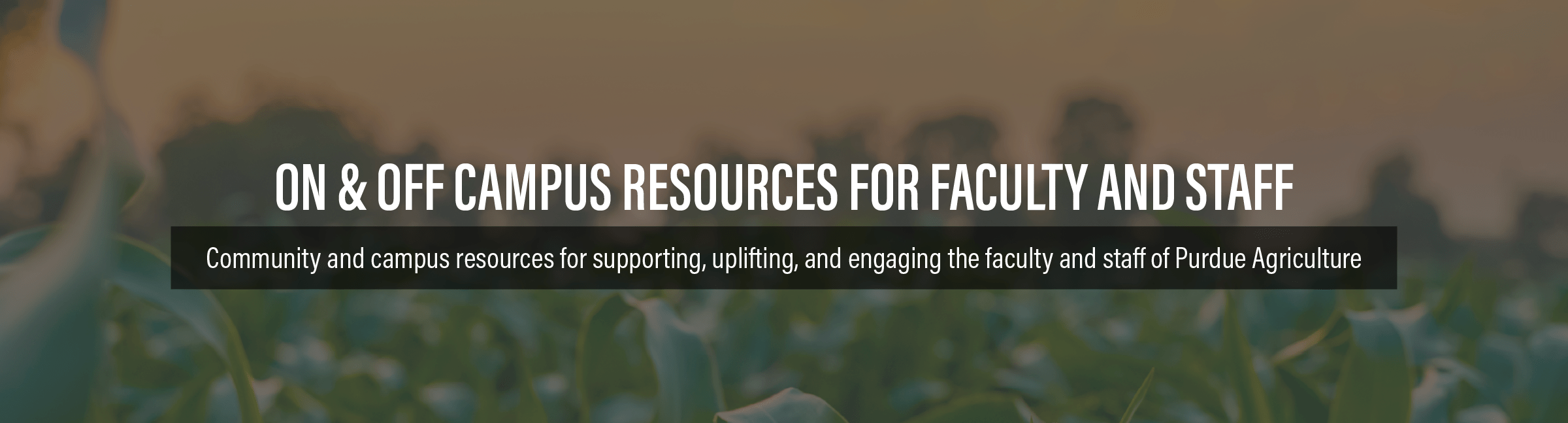 on and off campus resources for faculty and staff: community and campus resources for engaging, uplifting, and engaging the faculty and staff of purdue agriculture