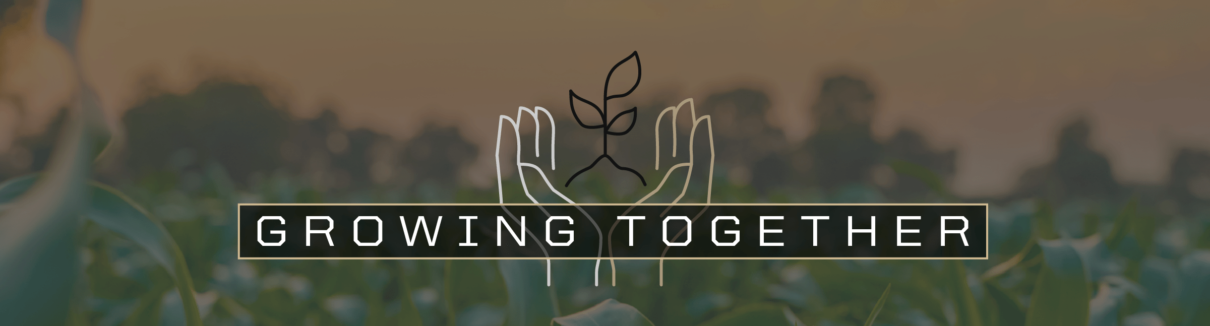 title growing together with gold outer box and a fading icon of a plant growing in background