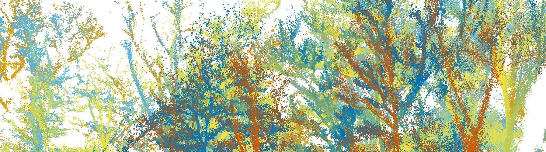 colorful tree scan