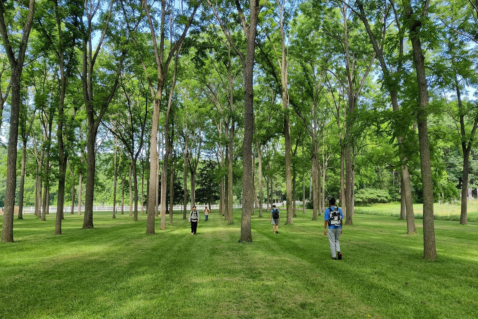 people wearing BackPack system in forest