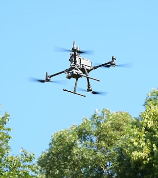  drone over forest