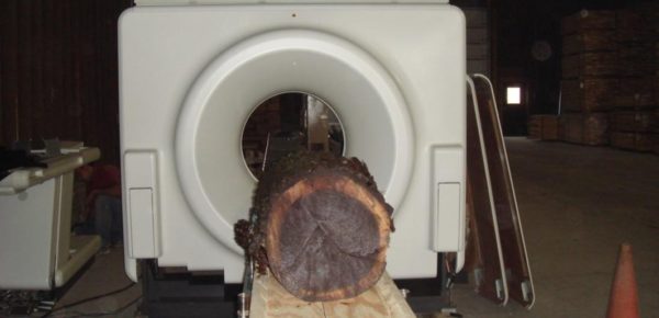 tree log in a scanning machine