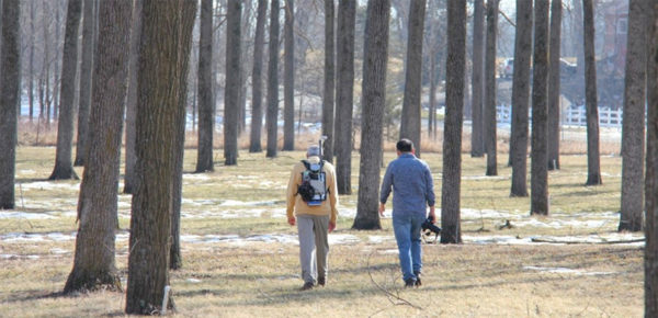 two people walking in forest