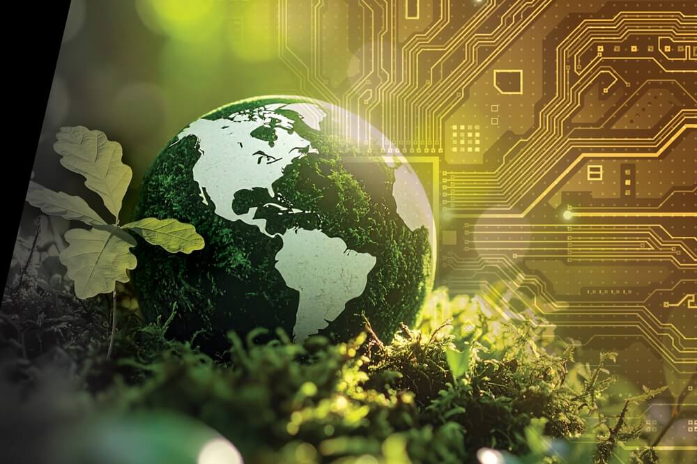 collage of globe sitting in grass