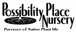Possibility Place Nursery Logo