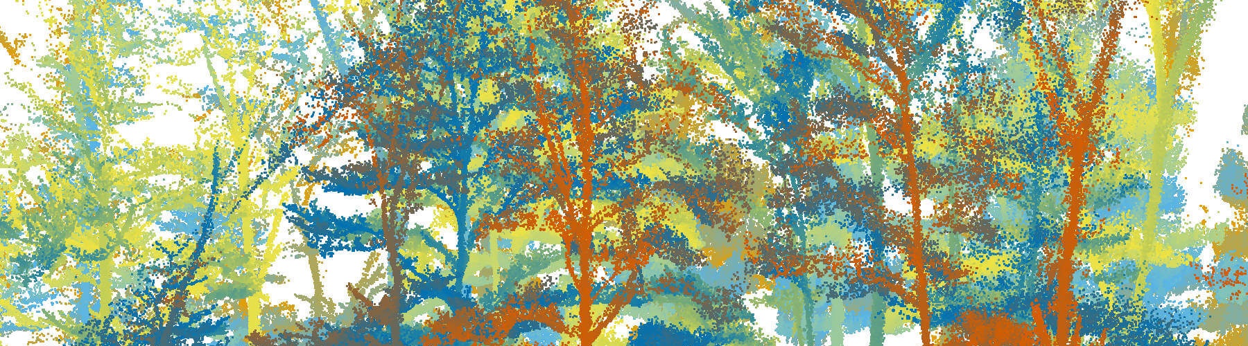 point cloud image of a forest