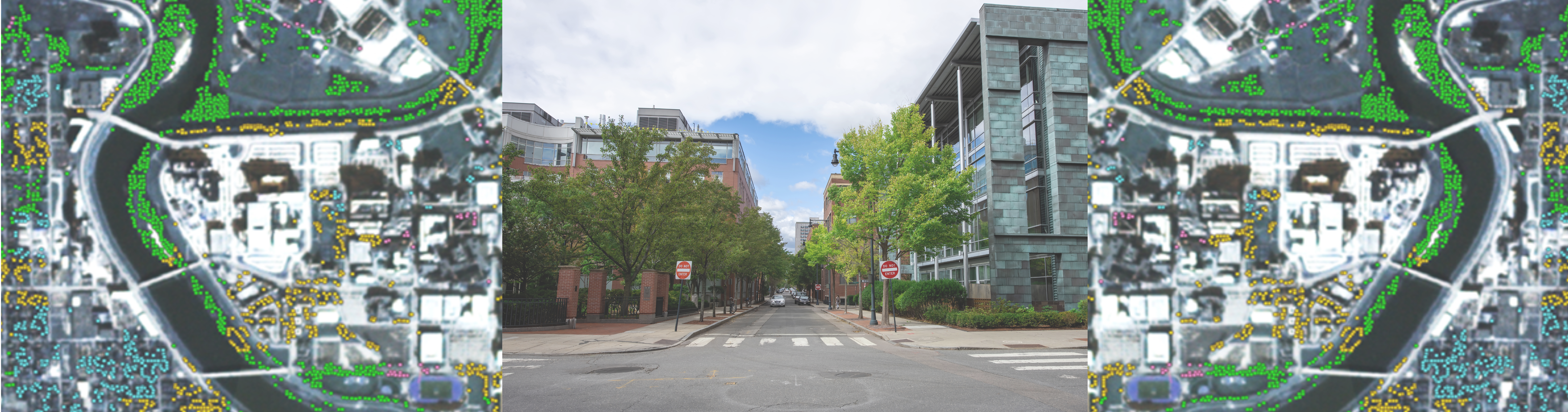 urban tree modeling