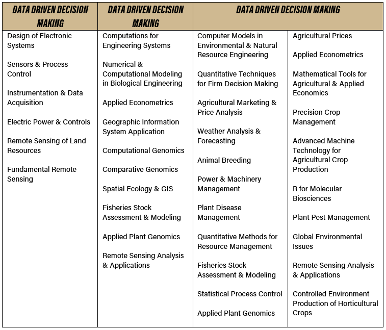 data-driven-minor-graphic-3.png