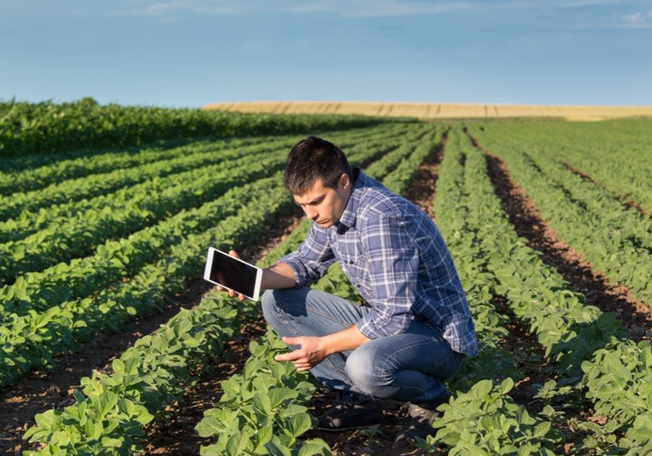 man in field with ipad