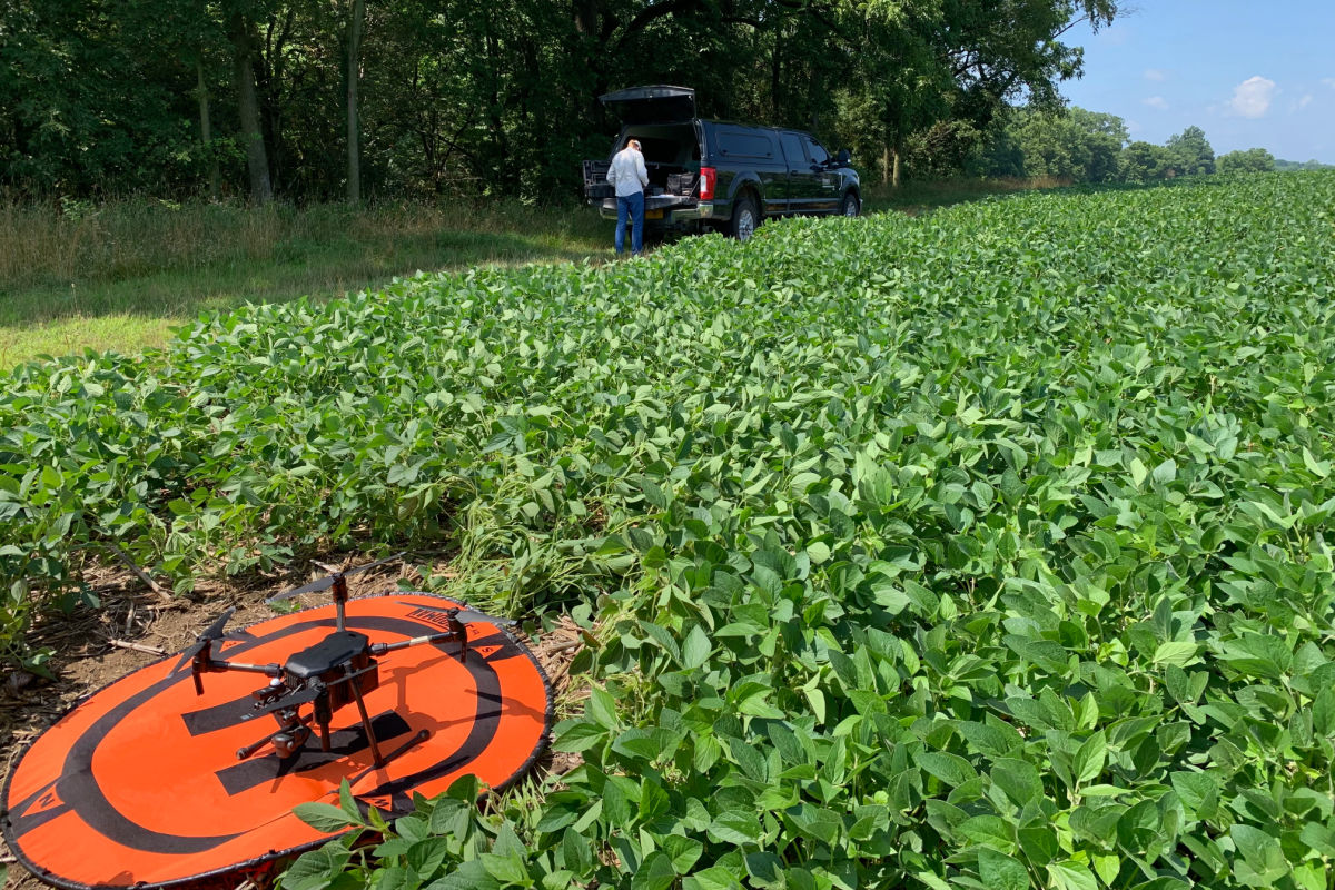 UAV look at soybeans
