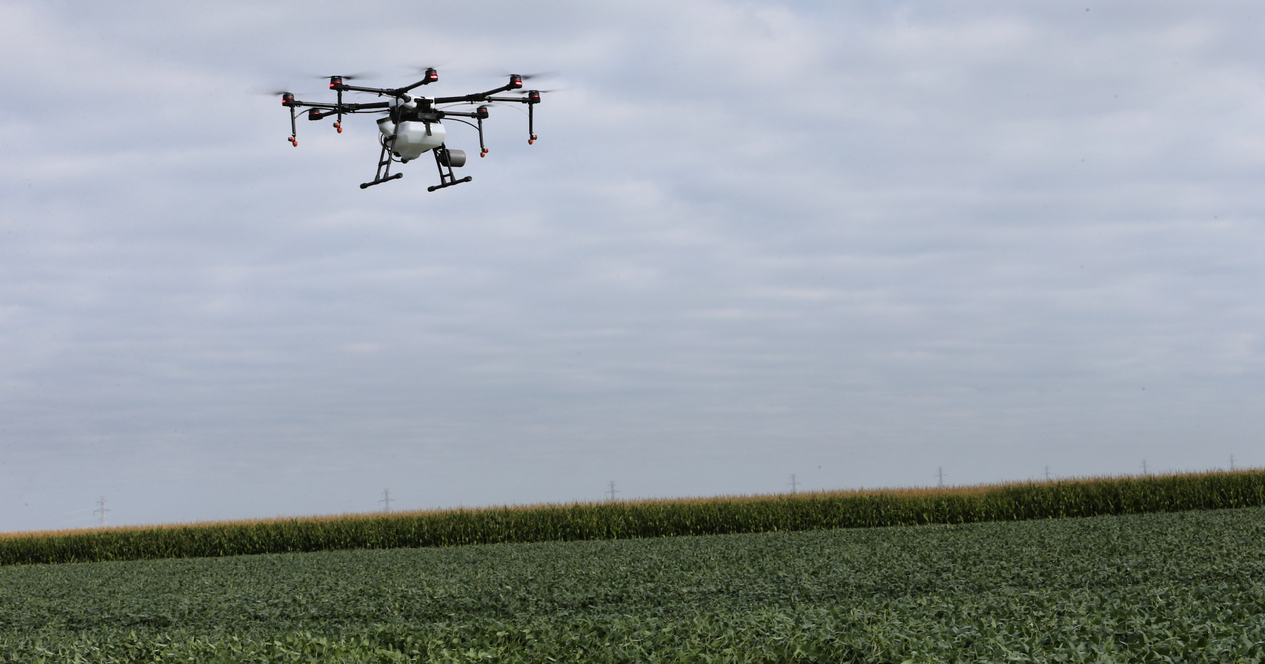 Drone in Air Over Corn Field