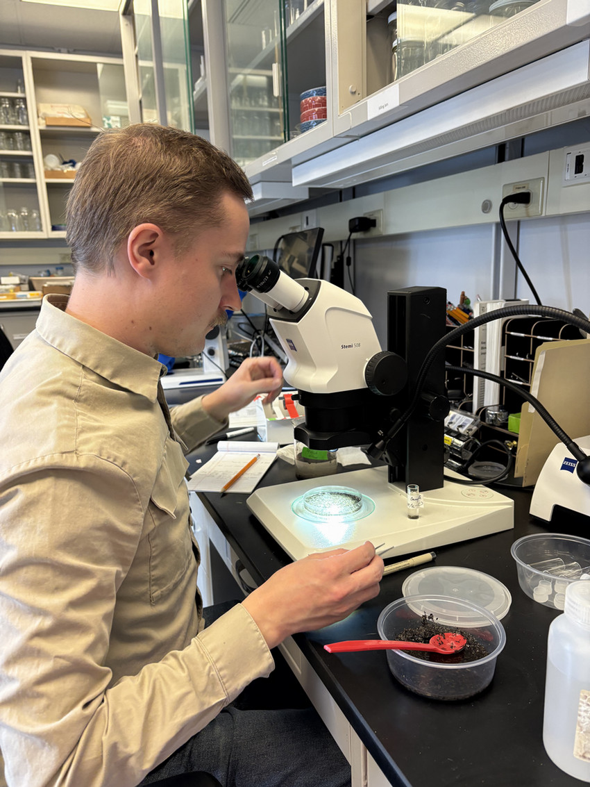 Love at the microscope