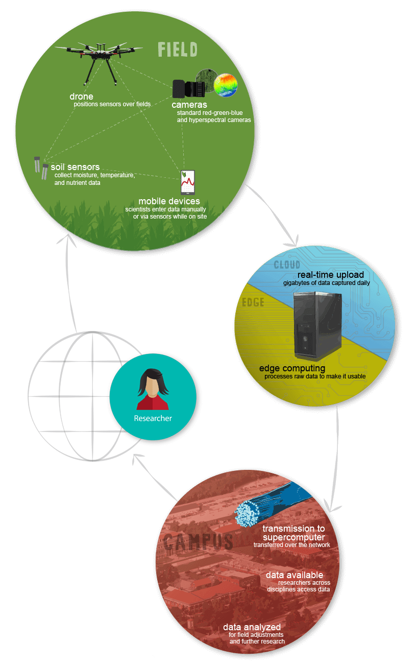 the research cycle using iot is cyclical