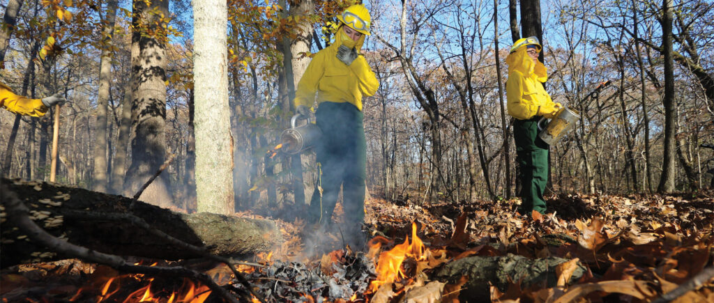 firefighters manage a controlled burn during a training course in Martell Forest