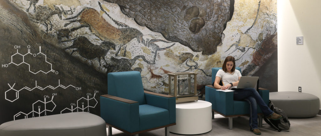 A woman sits in front of a cave painting style mural in the Hobart and Russell Creighton Hall of Animal Sciences and Land O'Lakes, Inc. Center for Experiential Learning