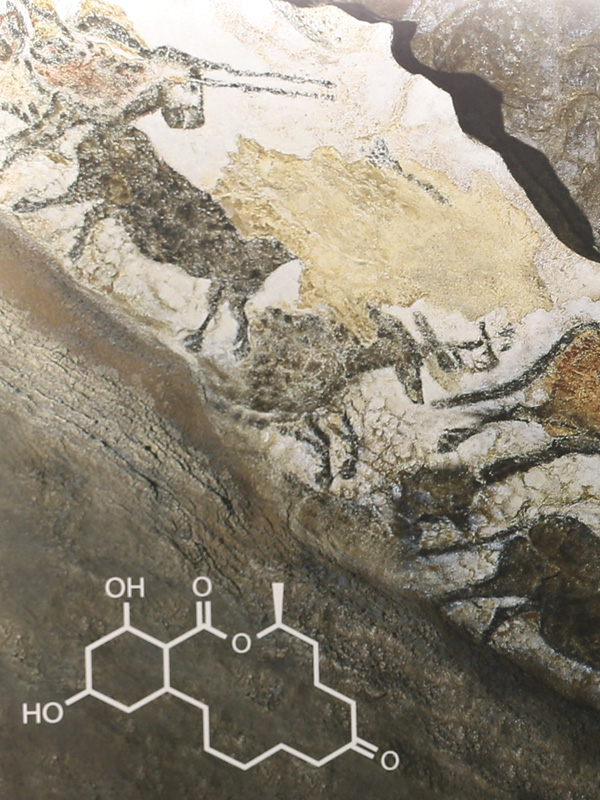 Part of a mural depicting cave paintings and molecular structures