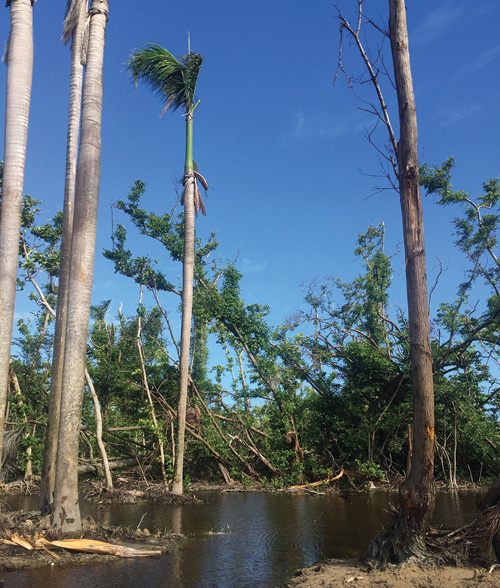 flooding brought on by Hurricane Maria