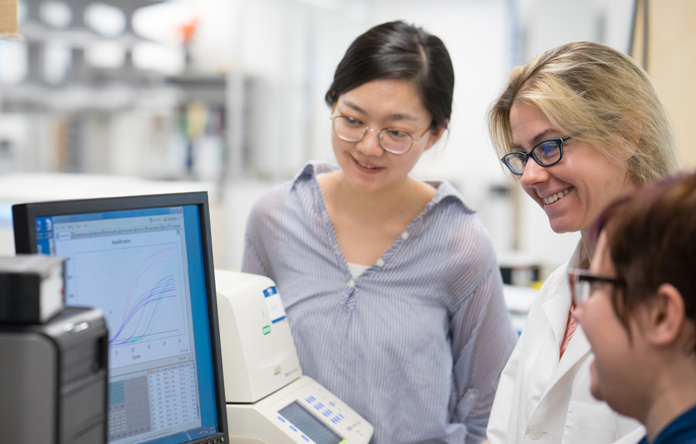 Zheng Xing, Beth Tran, and Sara Cloutier examine lab reports