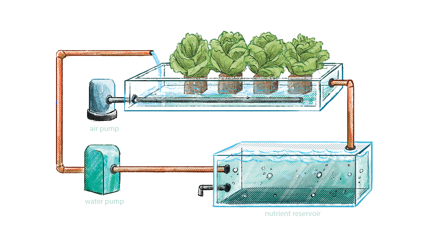 Closed hydroponics system