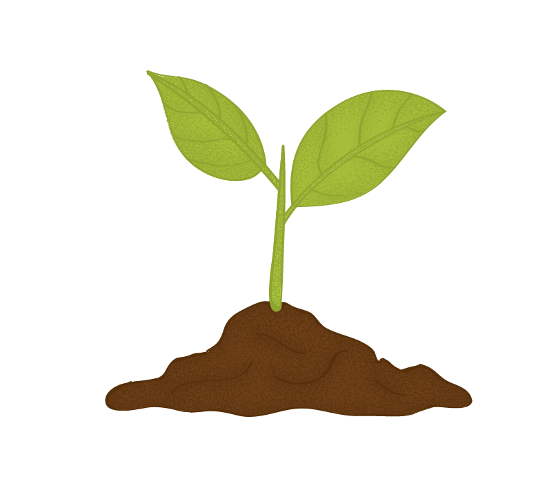 Plant Icon