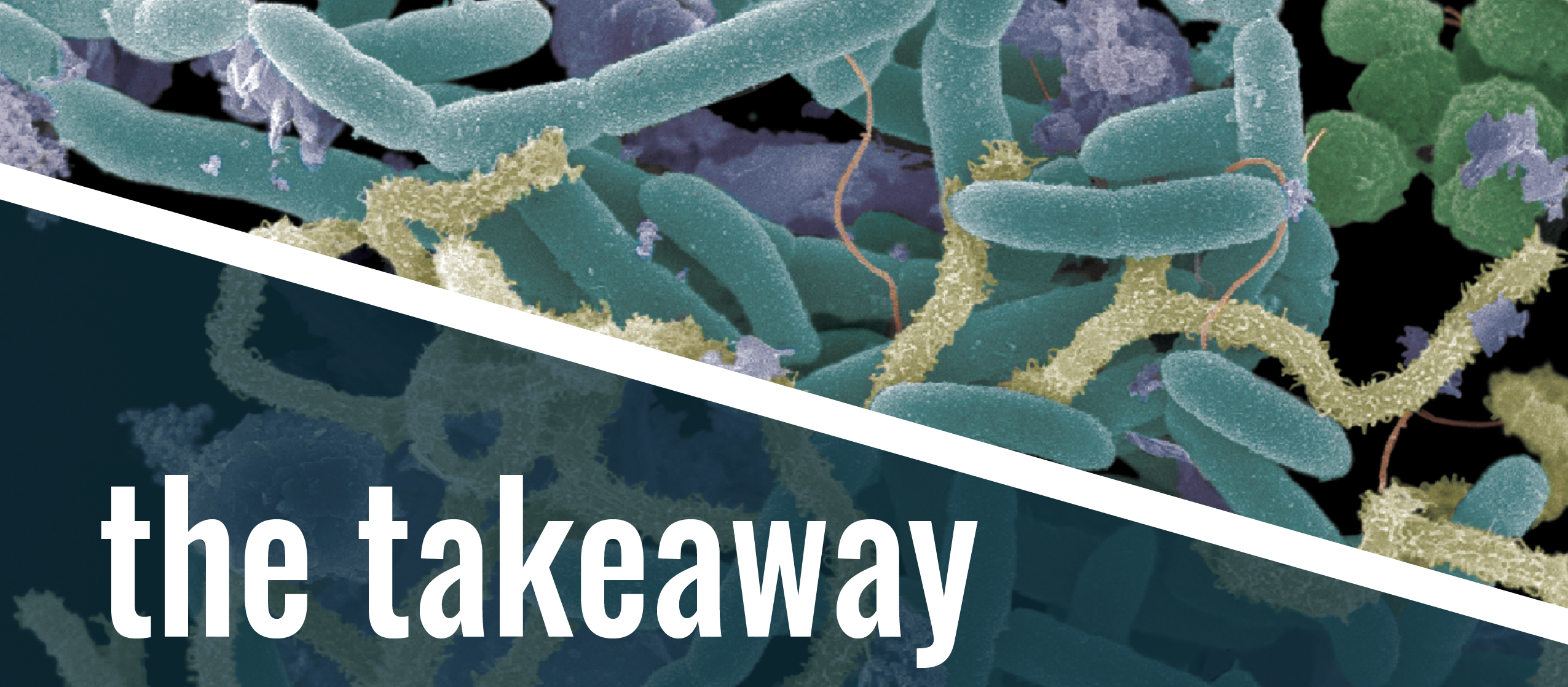 Microbiome Takeaway