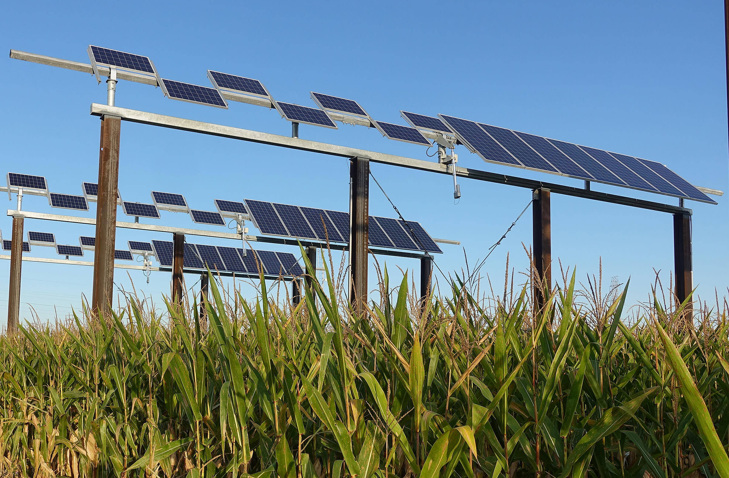 Using Farmland For Solar Electricity Production Envision College Of 