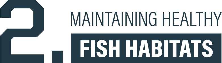 Maintaining healthy fish habitats