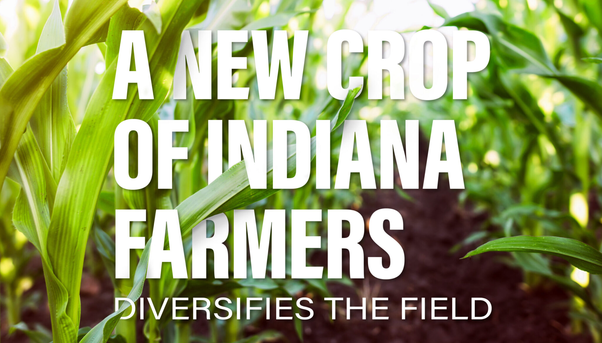 A New Crop of Indiana Farmers Diversify the Field Envision College