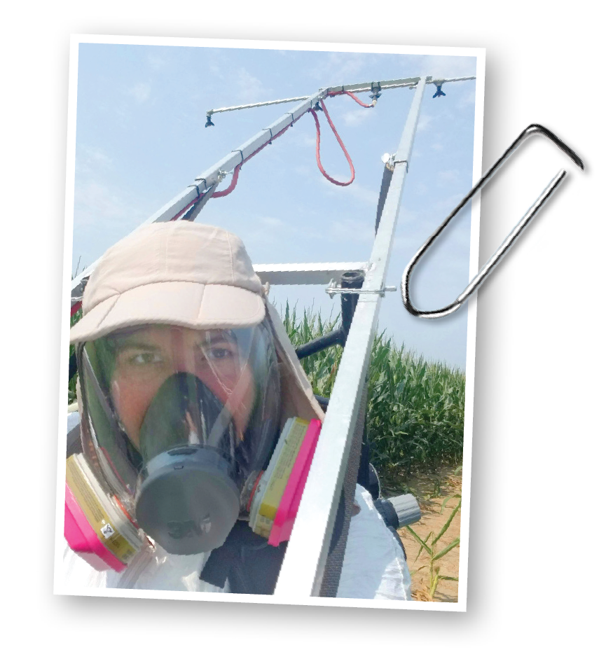 person in mask spraying fungicide