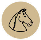 Horse icon