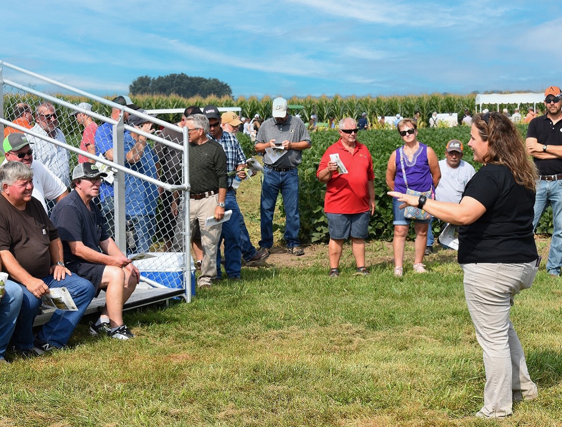 people in field