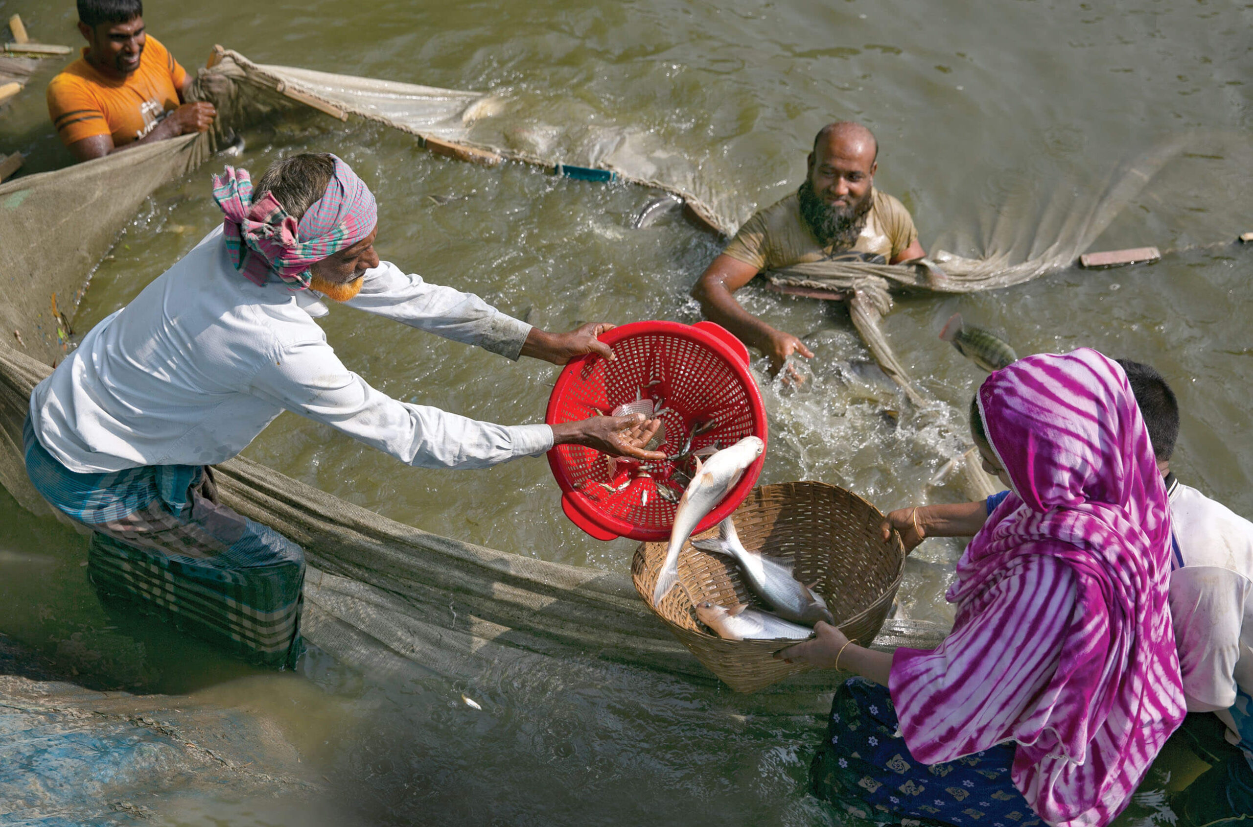 bangladesh