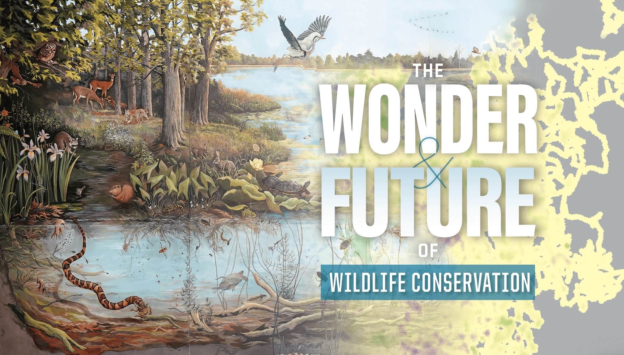 The Wonder & Future of Wildlife Conservation