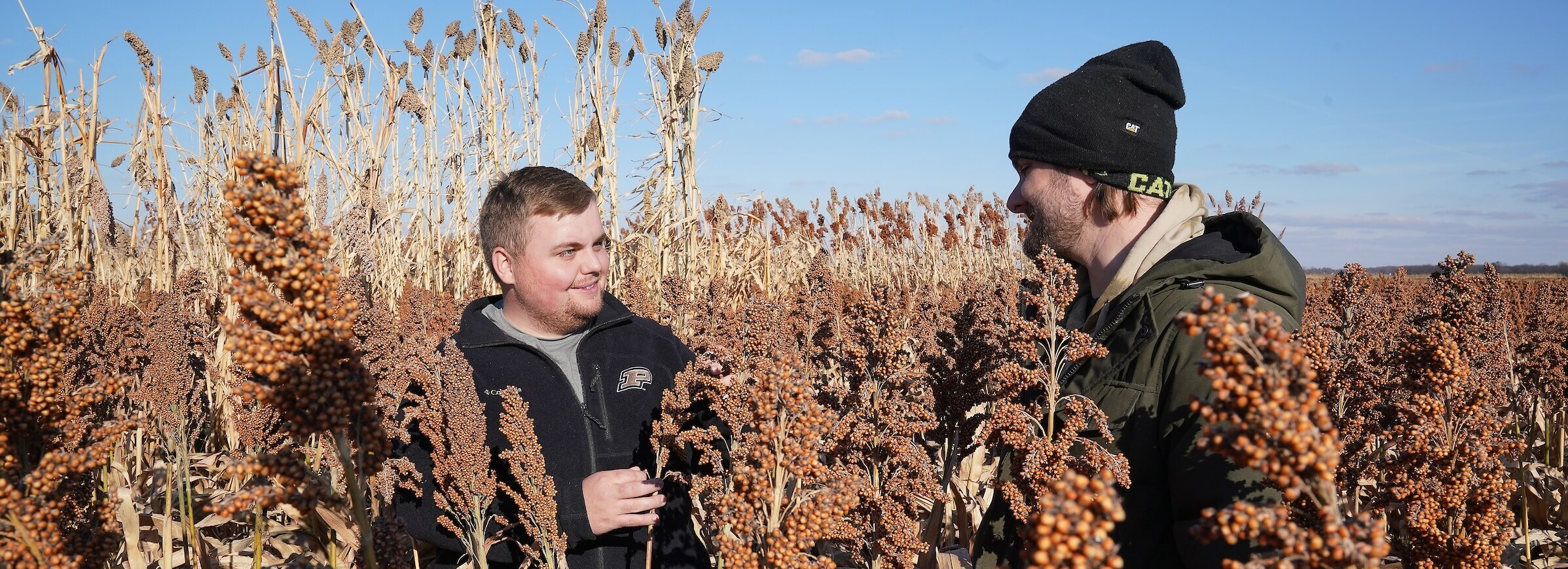 students in sorghum field