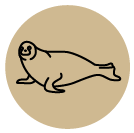 seal