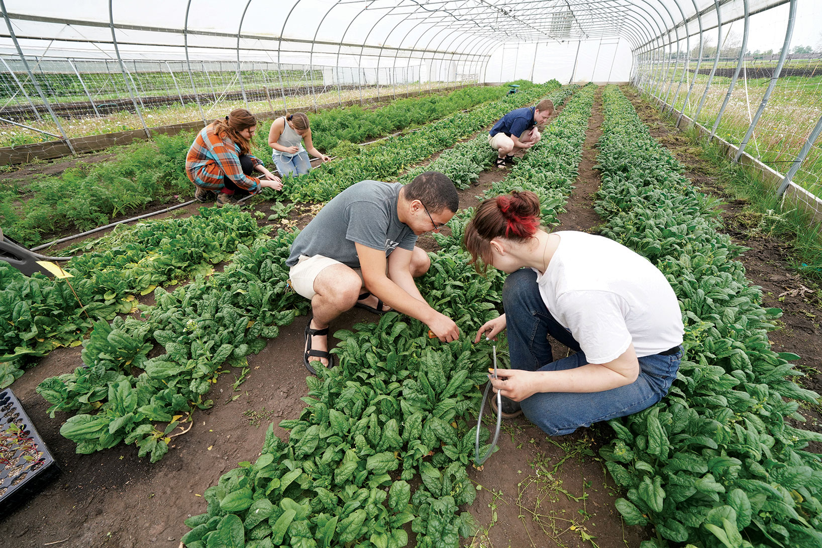 students in the field