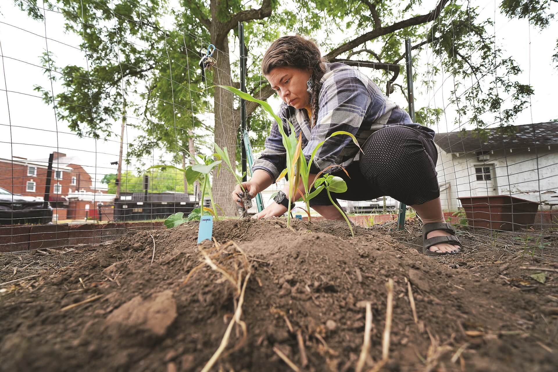 woman planting plants