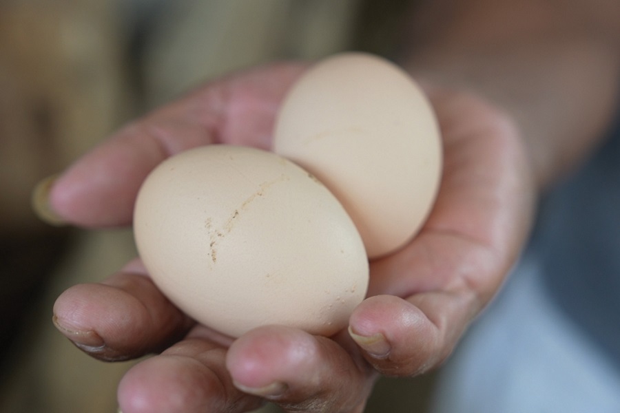 Purdue LandGrant University to the World Envision College of