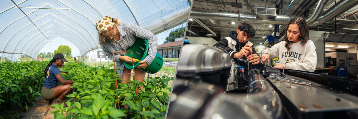 Ag / Engineering Networking Event Banner (two combined images featuring students working in a greenhouse, and students working on an engine) 