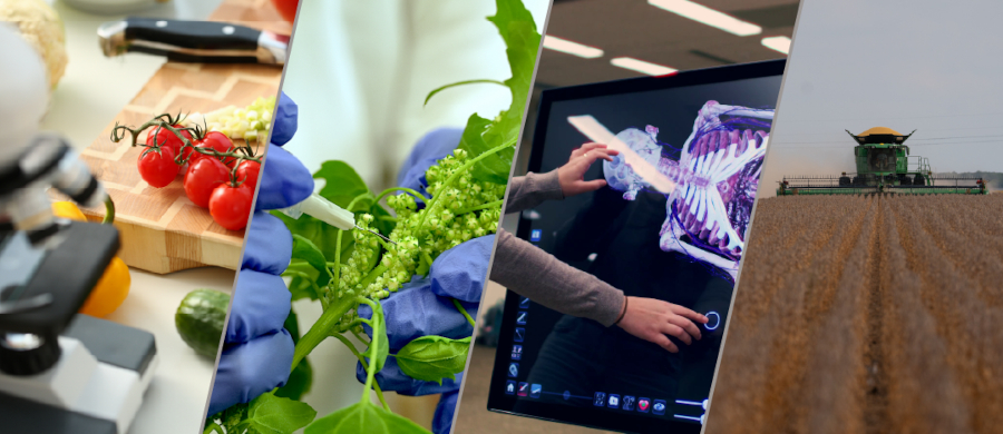 Plant & Human Health Event Banner