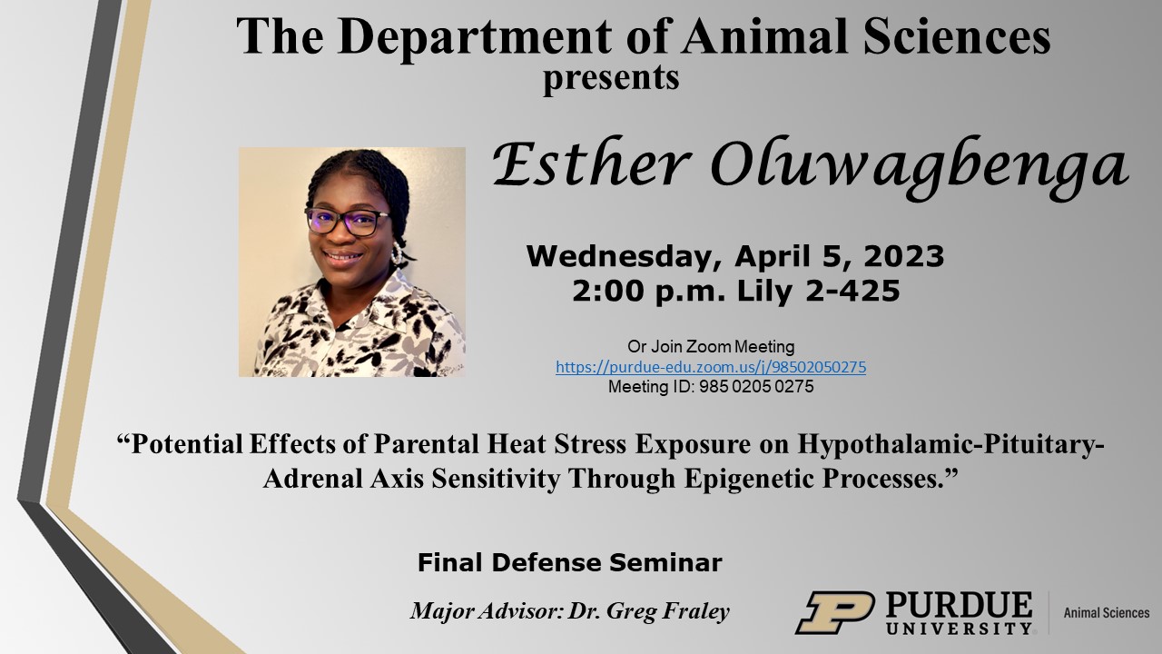 Esther-Oluwagbenga-Final-Defense-Seminar-Flyer-16.9-Ratio.jpg