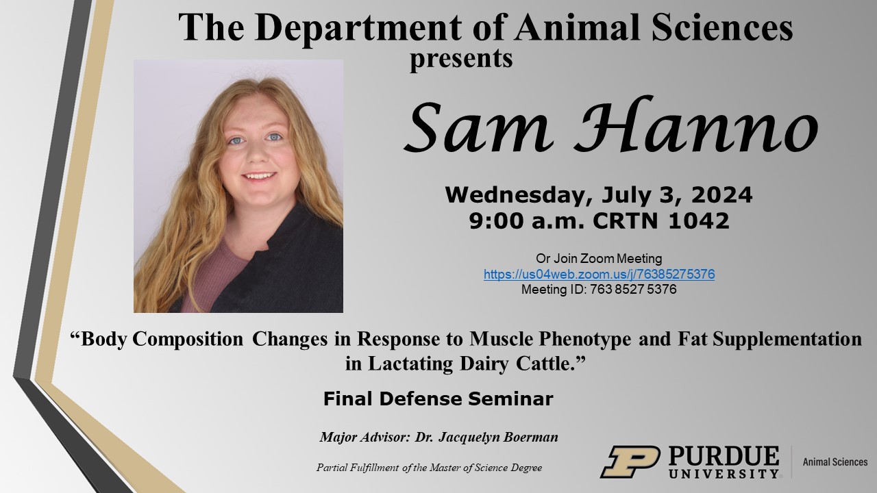 Sam Hanno's final defense seminar flyer. The title of her defense is "Body Composition Changes in Response to Muscle Phenotype and Fat Supplementation in Lactating Dairy Cattle."