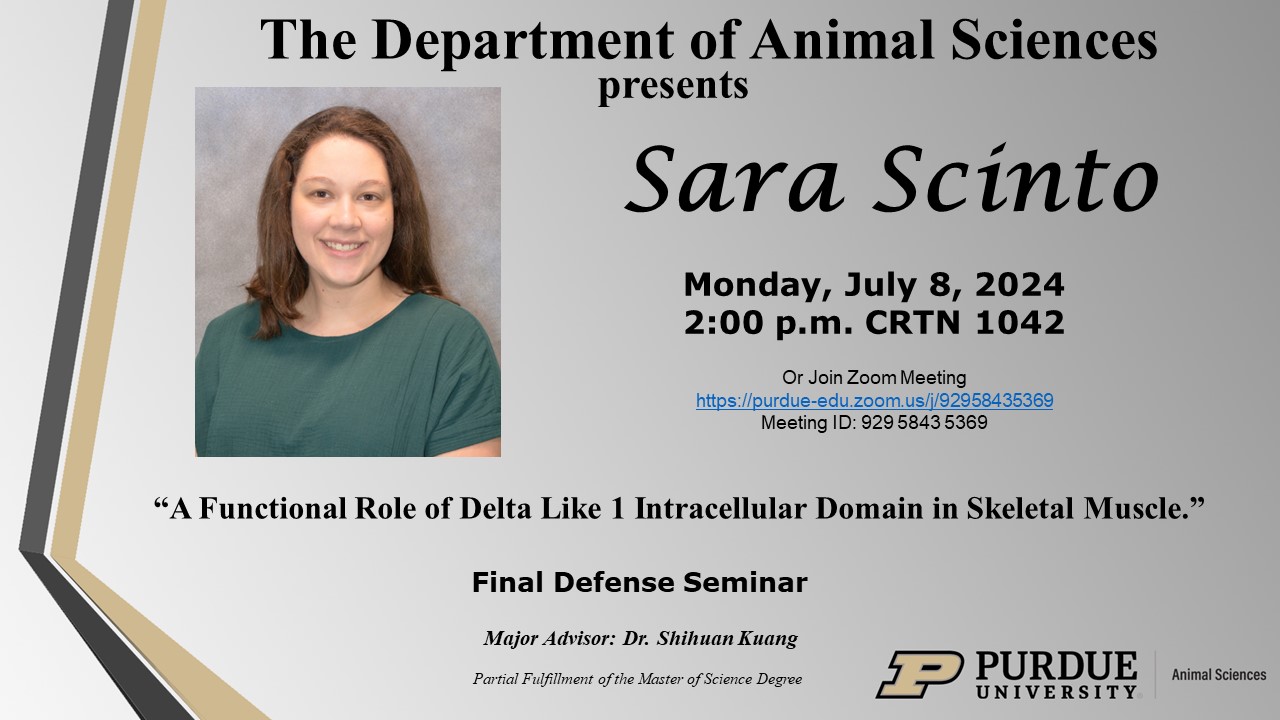Sara Scinto final defense seminar flyer. The title of her defense is "A Functional Role of Delta Like 1 Intracellular Domain in Skeletal Muscle."