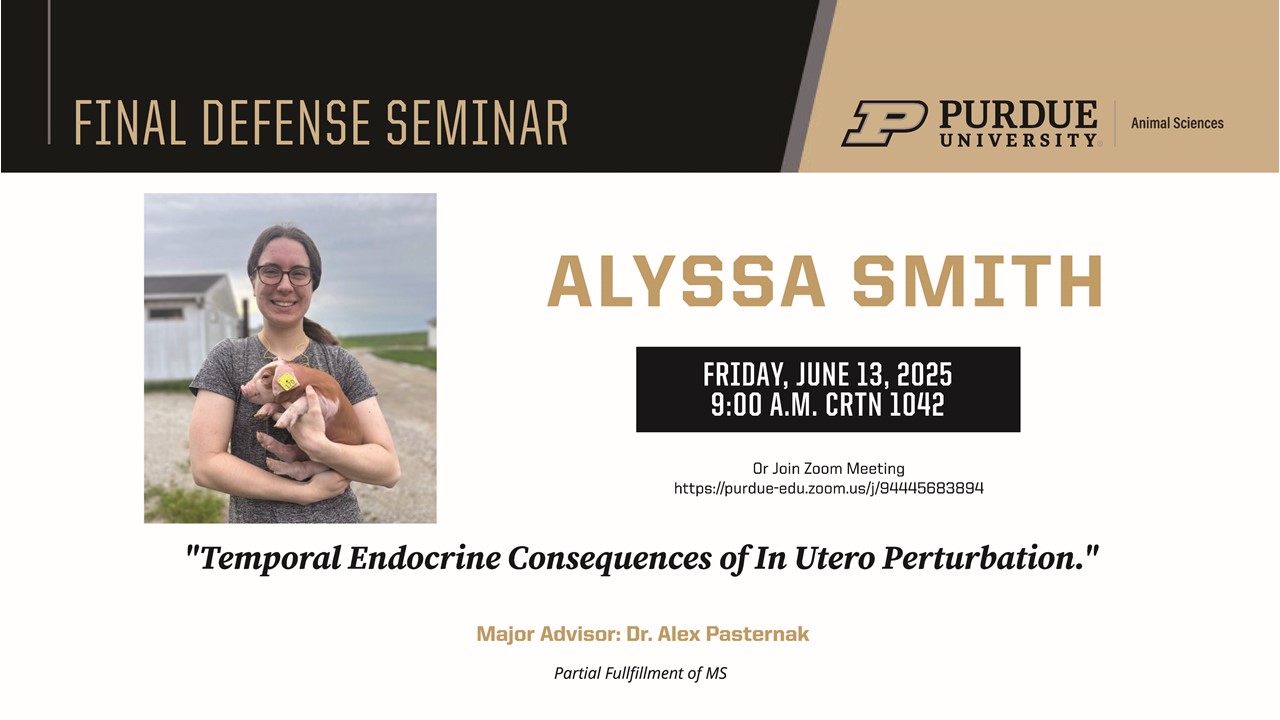 Flyer for Alyssa Smith’s Final Defense Seminar at Purdue University, Department of Animal Sciences. It features a photo of Alyssa smiling while holding a piglet outside on a farm. The seminar is titled “Temporal Endocrine Consequences of In Utero Perturbation” and will take place on Friday, June 13, 2025, at 9:00 A.M. in CRTN 1042. A Zoom link is also provided. The flyer notes that Dr. Alex Pasternak is her major advisor and the defense is in partial fulfillment of an MS degree. Purdue logo and Animal Sciences branding appear at the top.